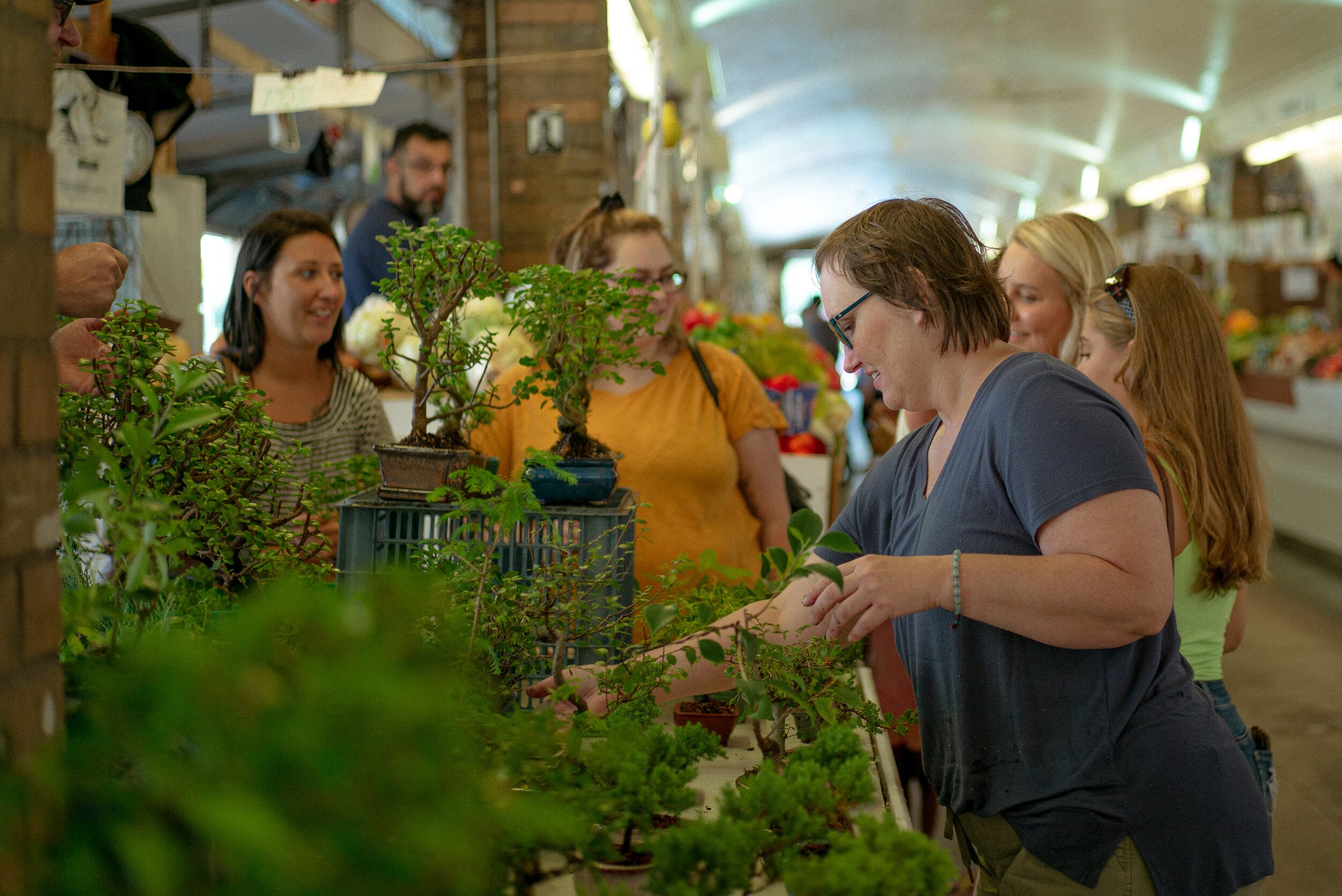 Angela Sanor, co-owner of Lucky Bonsai with her partner Josh Oldham, organizes trees for their day stall. Photo by Michael Indriolo.