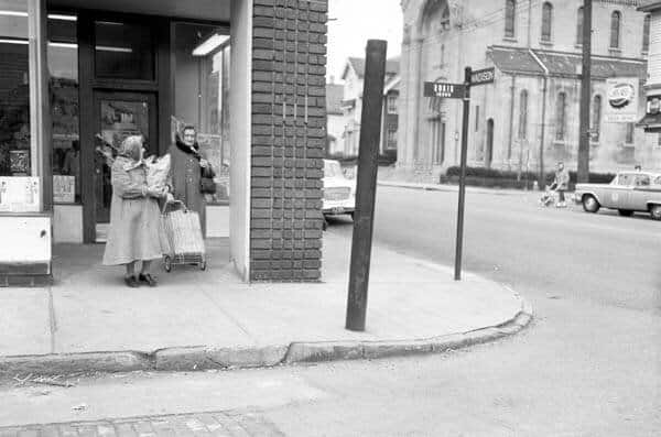  The original Birdtowners 