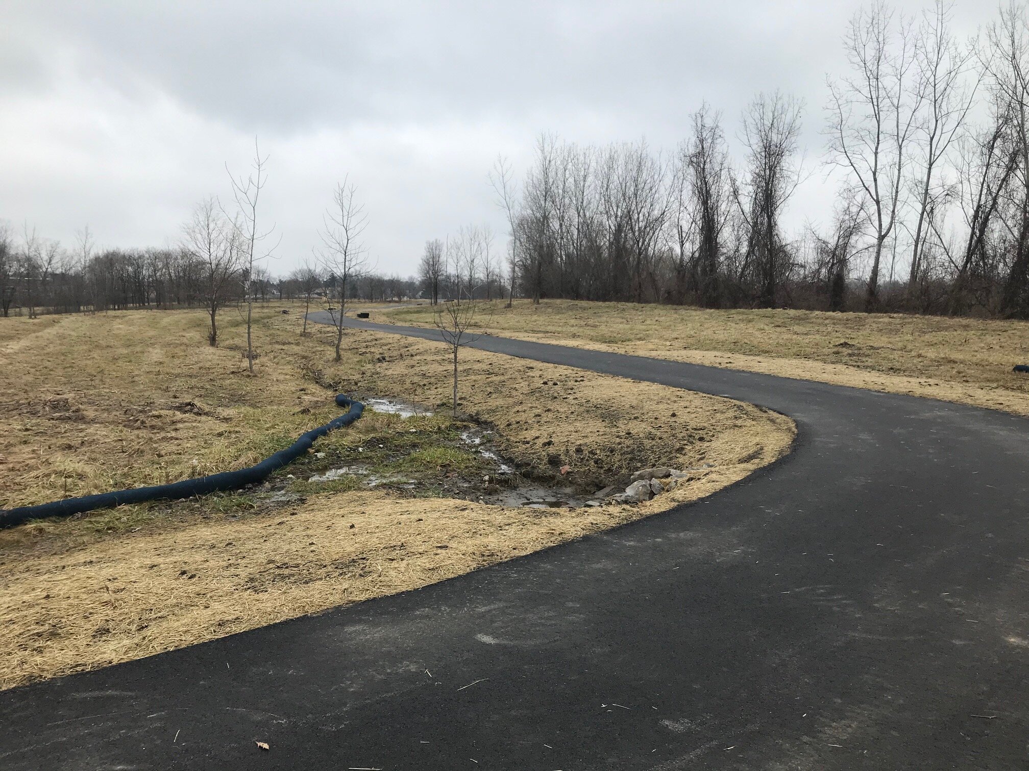 The Henninger landfill will soon open as Brighton Park.