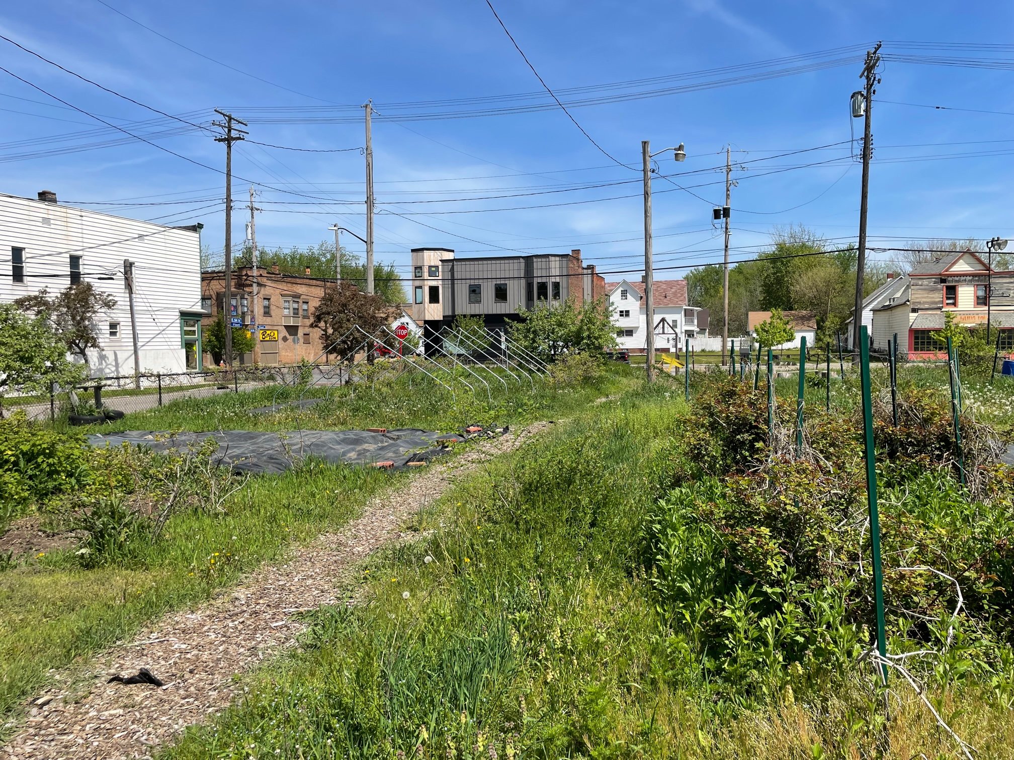 Slavic Village gardens and green spaces bring beauty while solving vacant lot problem