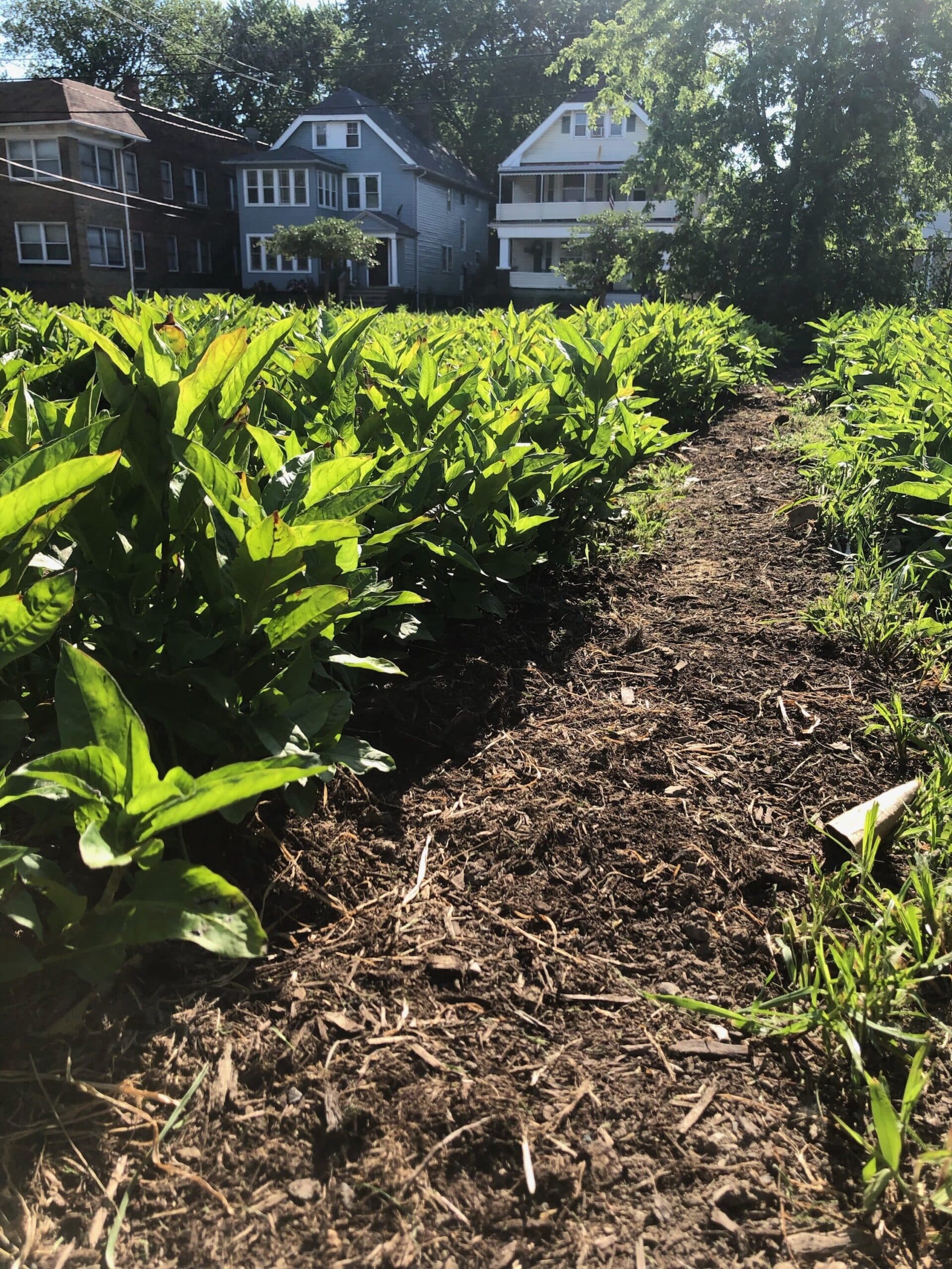 Photo: Jessica Pinsky.