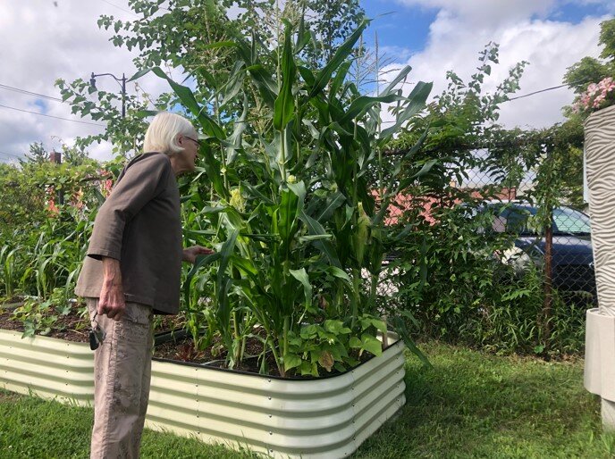 Teri Dew at her garden in Colllinwood. Photo courtesy Gabrielle Woods.
