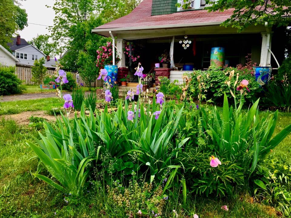 Zolten front yard.jpeg