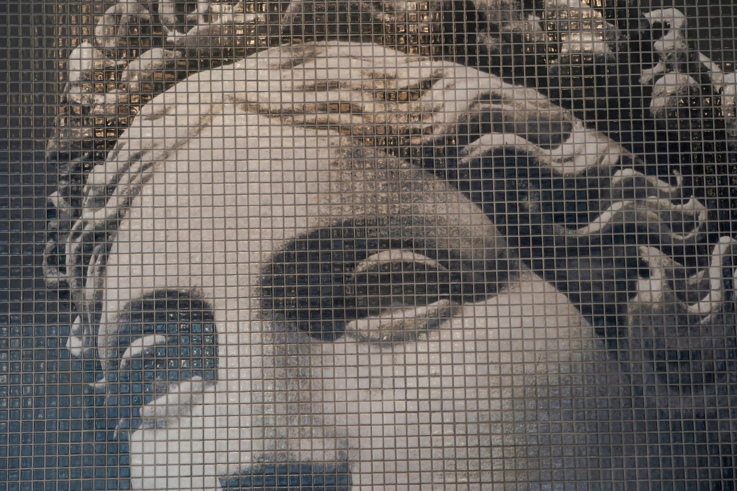  Selene, the goddess of the moon. Photo by Gus Chan. 