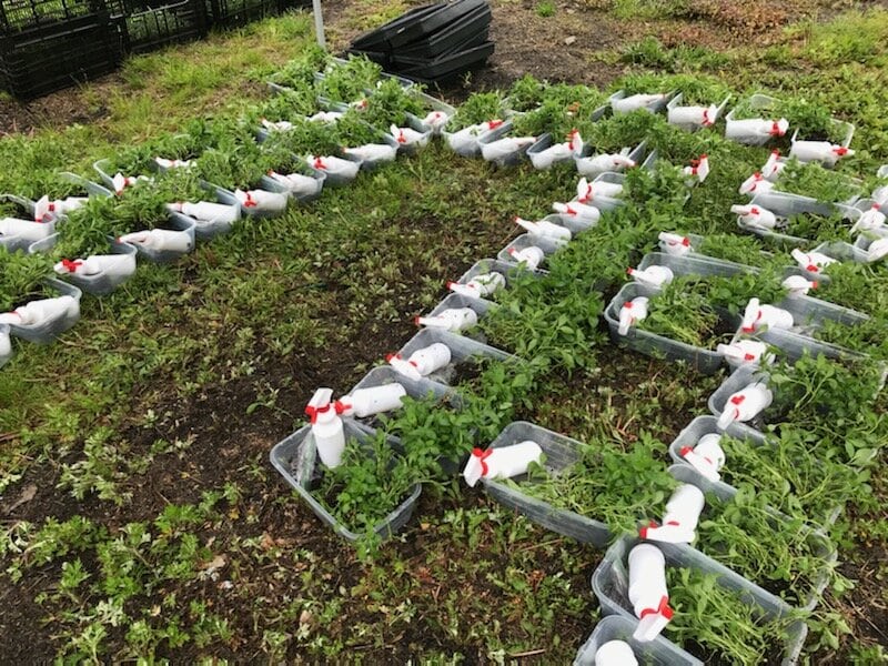 Photo: Jessica Pinsky.