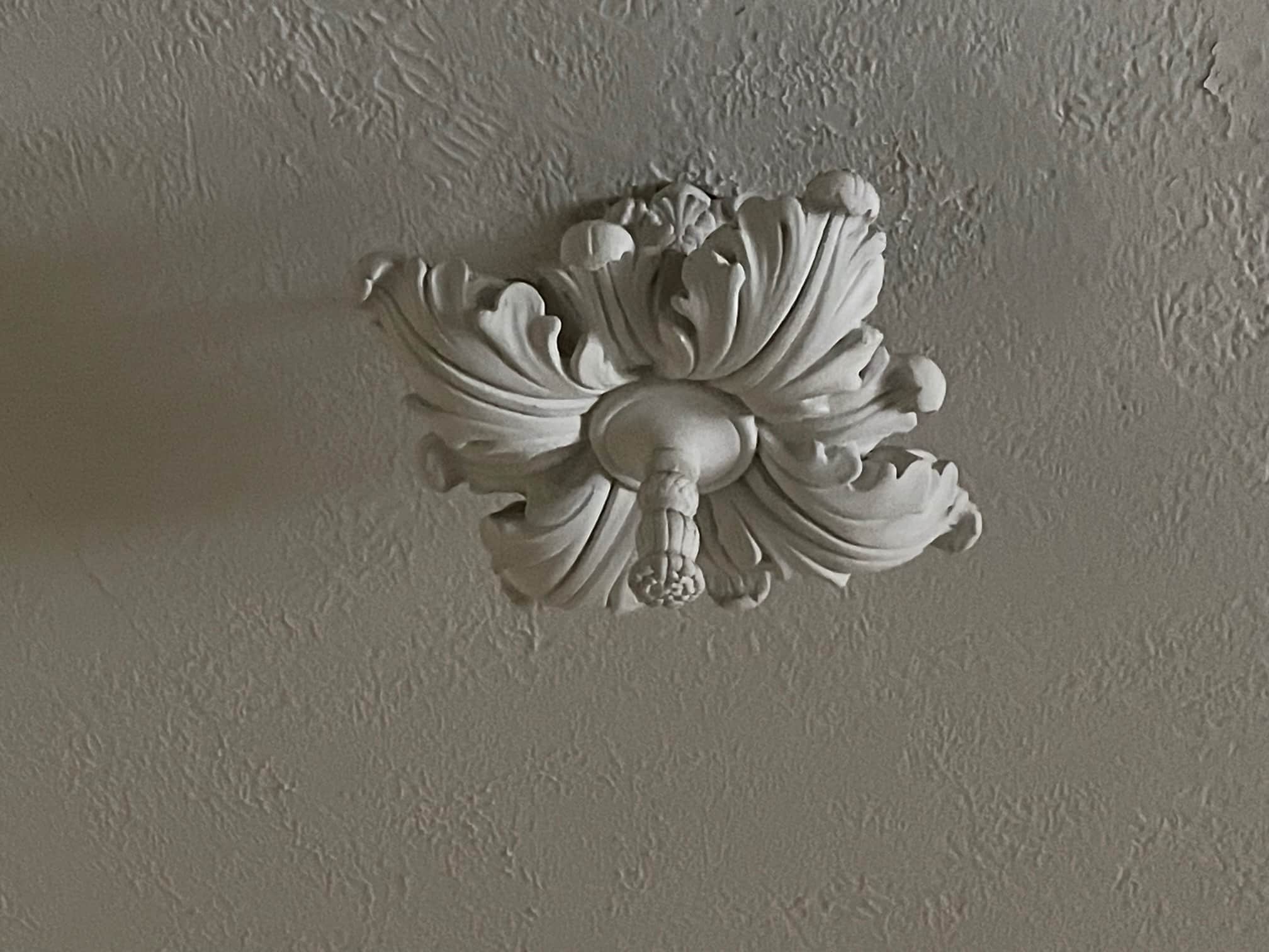 Plaster detailing on the ceiling of 3929 Lorain Ave.