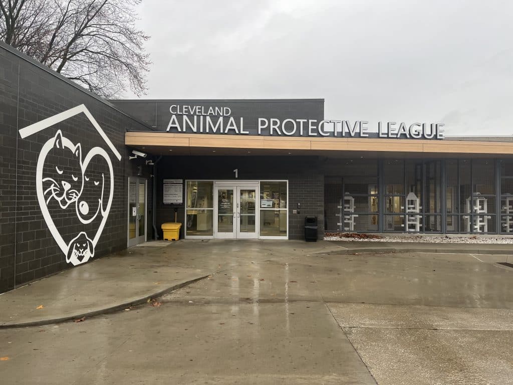 Cleveland’s animal shelters are overwhelmed, community help is needed