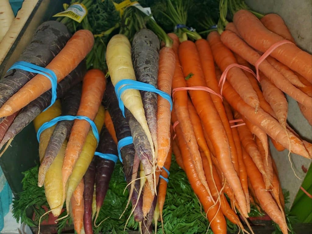 Yellow, white, and purple carrots. 